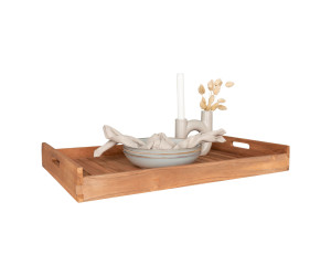 Tray FARO 4601025