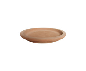 Saucer STOCKPORT 9001164
