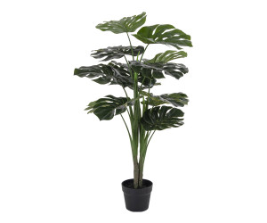 MONSTERA 9501000