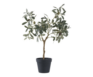 Tree OLIVE 9501002