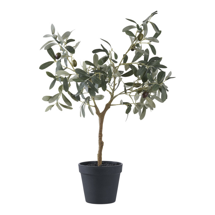 Tree OLIVE 9501002