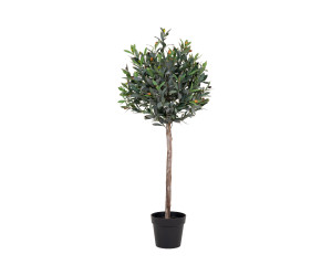 Tree OLIVE 9501060