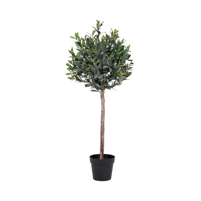 Tree OLIVE 9501060