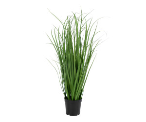 Grass POA 9501080