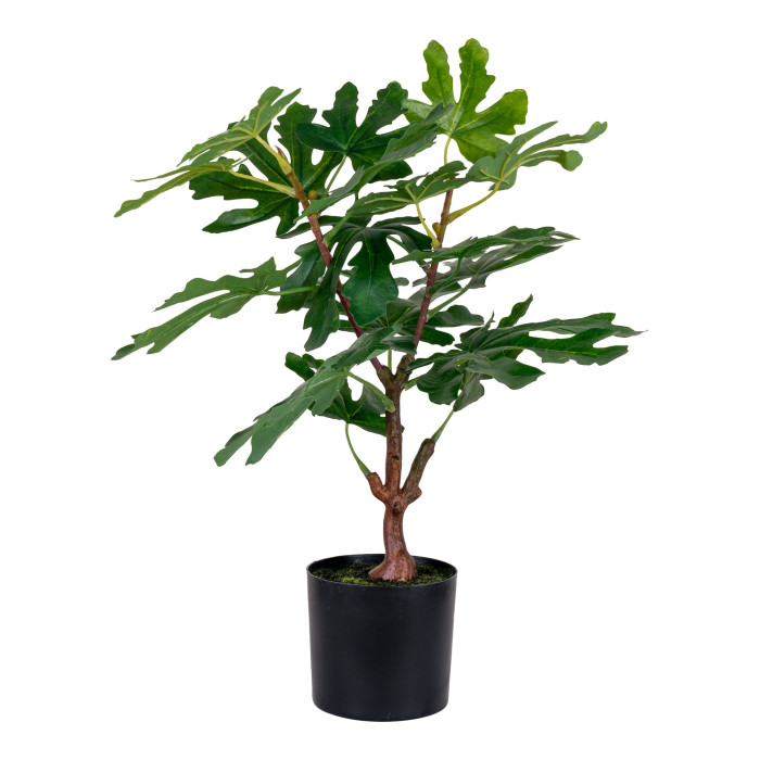 Tree FIG 9501110