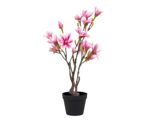 Tree MAGNOLIA 9501130