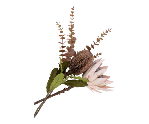Protea kimp KING__ 9501160