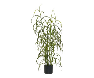 Plant GRASS 9510003