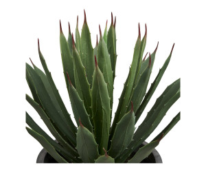 Dekoratiivtaim AGAVE — värv: hall / roheline