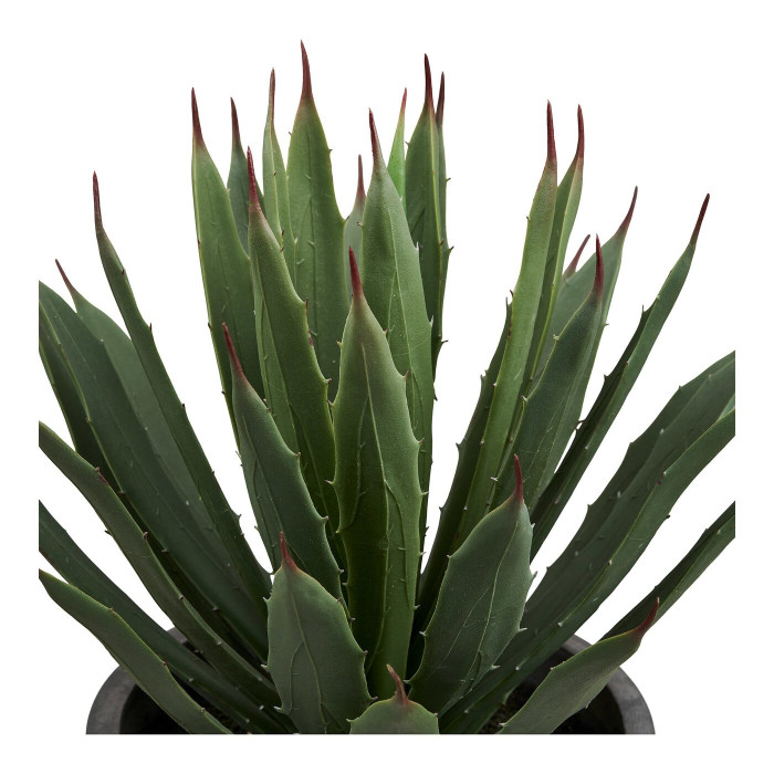 Dekoratiivtaim AGAVE — värv: hall / roheline