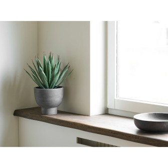 Dekoratiivtaim AGAVE — värv: hall / roheline