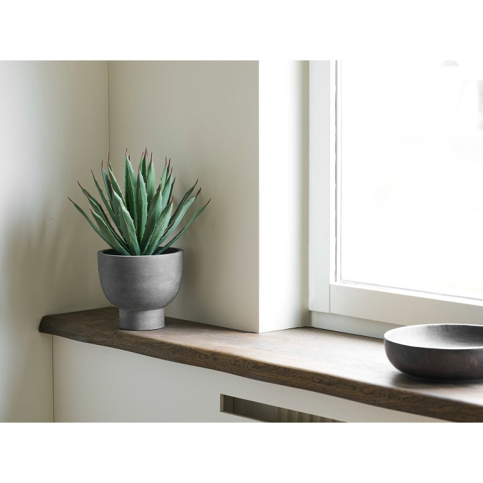 Dekoratiivtaim AGAVE — värv: hall / roheline