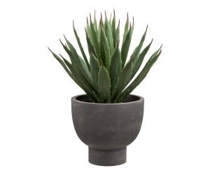 Dekoratiivtaim AGAVE — värv: hall / roheline