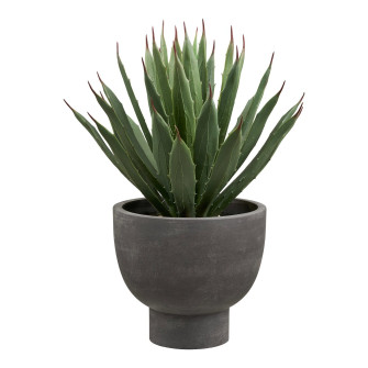 Dekoratiivtaim AGAVE — värv: hall / roheline